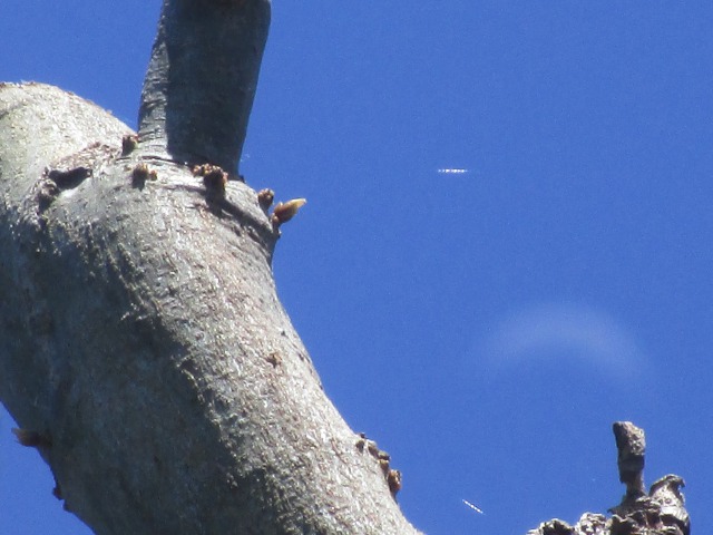 栃木県那須町で撮影されたUFO