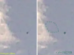 UFO？虫だと思ったら小さな点が輪っか状になってる不思議物体